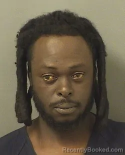 Booking photo from Palm Beach County, Florida