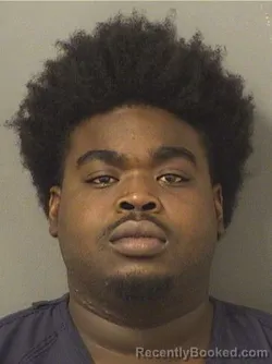 Booking photo from Palm Beach County, Florida