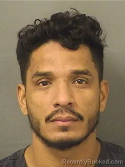 Mugshot of JOSE LUIS TORRESSANCHEZ