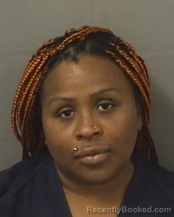 Mugshot of VIRGINIA MIESESDEHERNADEZ