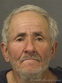Mugshot of JOSE DURAN MATOS