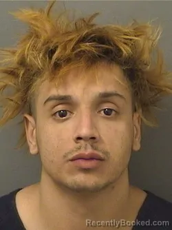 Mugshot of DAVID GABRIEL REYNA