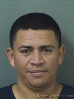 Booking photo from Palm Beach County, Florida