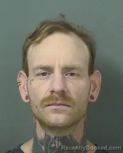 Mugshot of KYLE SCOTT QUALLS