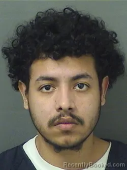 Mugshot of PEDRO ALEXANDERVILLALTA