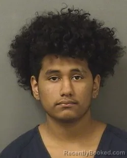 Mugshot of RICHARD SASTRESANCHEZ