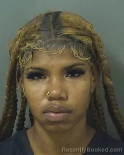 Mugshot of AMANDA CHENYA ABRAHAM