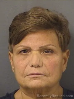 Mugshot of ADELA ELENA PORRO