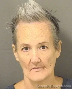 Mugshot of DEBORAH J MANNION