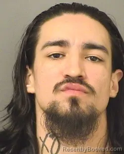 Mugshot of TYLER HAASEUGALDE