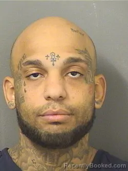 Booking photo from Palm Beach County, Florida