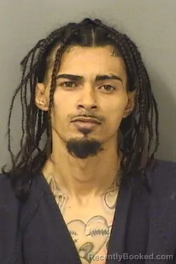Booking photo from Palm Beach County, Florida