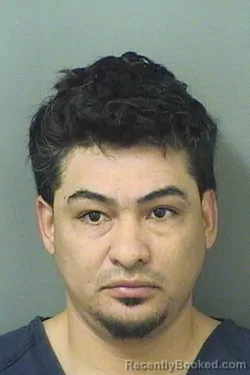Mugshot of LUIS BARRIOSMORENO