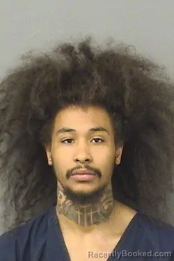 Mugshot of ELIJAH GABRIEL
