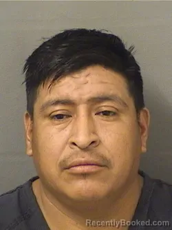 Mugshot of PEDRO ANDRESRAYMUNDO