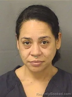 Mugshot of DONNA MICHELLE MONTILLA