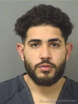 Mugshot of NICOLAS PEREZBAEZ