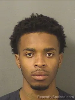 Mugshot of TYLER LEPAUL JOHNSON