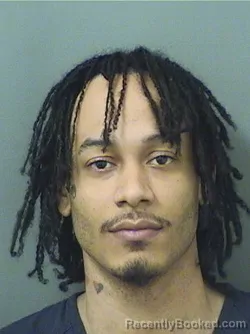 Mugshot of JAIME DAVID MARTI