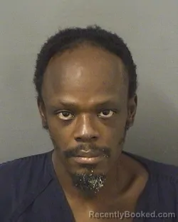 Mugshot of ELGREN CURRAZ CHANEY