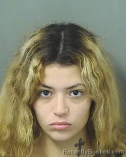 Mugshot of DANIELA VALENTINA CASTROMAUQUER booked in Palm Beach County, Florida on March 5, 2026