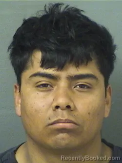 Mugshot of JUAN JESUS BERISTANMENDOZA booked in Palm Beach County, Florida on March 5, 2026