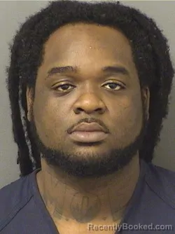 Mugshot of ISAACSON SALE booked in Palm Beach County, Florida on March 5, 2026