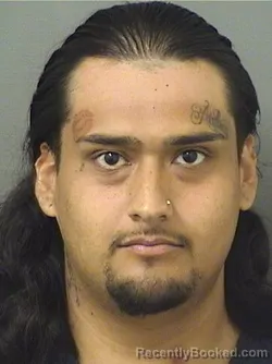 Mugshot of ROBERTO DIAZANDRADE booked in Palm Beach County, Florida on March 5, 2026