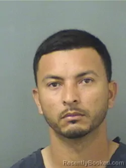 Mugshot of CARLOS ENRIQUE ALVAREZ booked in Palm Beach County, Florida on March 5, 2026