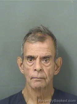 Mugshot of ANTHONY JAMES JELLEY booked in Palm Beach County, Florida on March 5, 2026