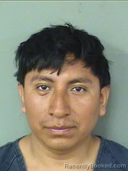 Booking photo from Palm Beach County, Florida