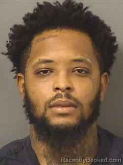 Booking photo from Palm Beach County, Florida