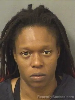 Booking photo from Palm Beach County, Florida