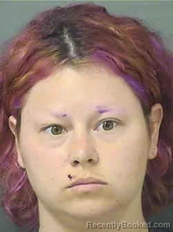 Mugshot of LORRAINE I JESTEADT booked in Palm Beach County, Florida on March 7, 2026