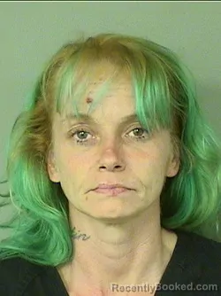 Mugshot of RHONDA E JOHNSON booked in Palm Beach County, Florida on March 8, 2026