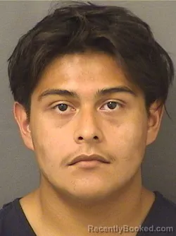 Mugshot of EMILIO ANTONIO MERAZSOLIS booked in Palm Beach County, Florida on March 8, 2026