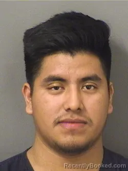 Mugshot of MIGUEL PEREZRAMIREZ booked in Palm Beach County, Florida on March 8, 2026