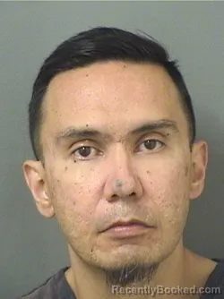 Mugshot of TYSON PASCARANERVING booked in Palm Beach County, Florida on March 8, 2026