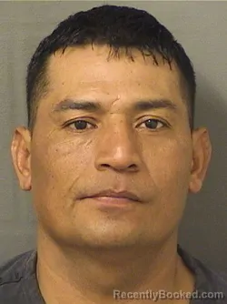 Mugshot of ENOC JOSE CALEROMENDOZA booked in Palm Beach County, Florida on March 8, 2026