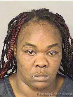 Mugshot of MICHELLE SANCHEZ booked in Palm Beach County, Florida on March 8, 2026