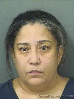 Mugshot of DEBRA SOBA booked in Palm Beach County, Florida on March 8, 2026