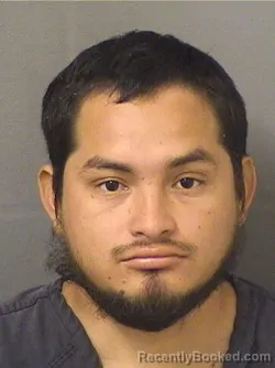 Mugshot of DAVID ERNESTO RAMIREZ booked in Palm Beach County, Florida on March 9, 2026