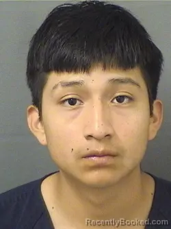 Mugshot of RONILEONEL PEDROJUAN booked in Palm Beach County, Florida on March 10, 2026