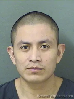 Mugshot of ADAN GUZMANVASQUEZ booked in Palm Beach County, Florida on March 11, 2026