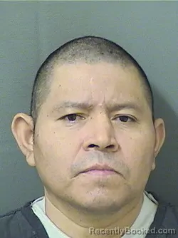 Mugshot of IMNER ADIN MIRANDA booked in Palm Beach County, Florida on March 11, 2026