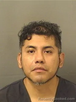 Mugshot of LUCIO BARRERA booked in Palm Beach County, Florida on March 11, 2026
