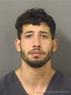 Mugshot of SANTY RICHARD VASALLOBARRIOS booked in Palm Beach County, Florida on March 11, 2026