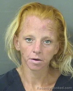 Mugshot of CARI ANNE NEVAD booked in Palm Beach County, Florida on March 11, 2026