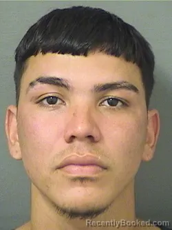 Mugshot of DAIBER J MEDINAMENDEZ booked in Palm Beach County, Florida on March 11, 2026