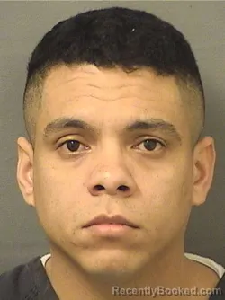 Mugshot of DERMISON DAVID DIAZLANDAETA booked in Palm Beach County, Florida on March 11, 2026